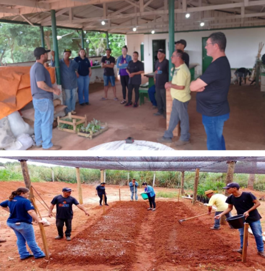 Prefeitura de Nova Londrina promove oficina de hortas urbanas com apoio da Itaipu Binacional e incentiva sustentabilidade e alimentação saudável