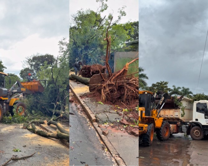 Chuvas fortes: Prefeitura garante agilidade e eficiência na limpeza das vias afetadas